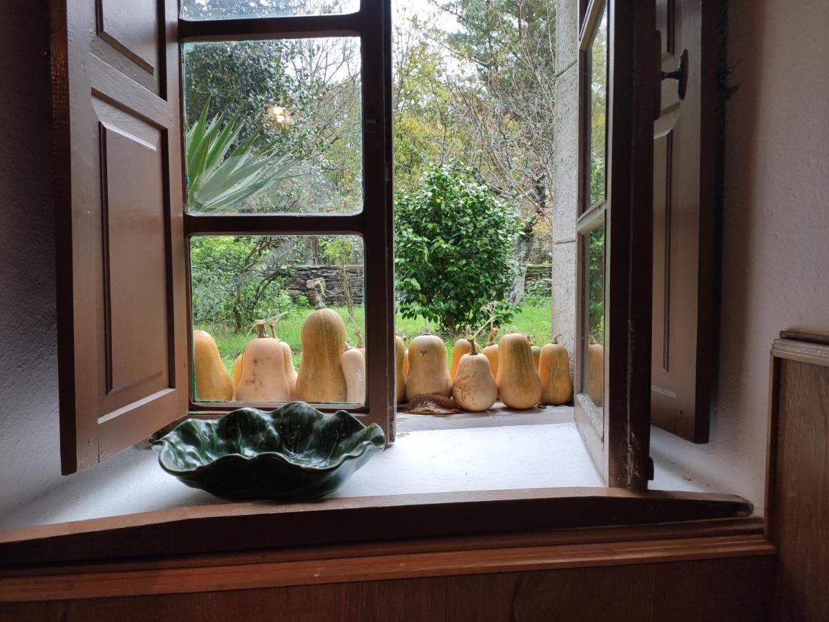 ルーゴ Casa Moucheiroヴィラ エクステリア 写真